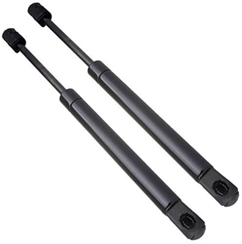 EDPOAQC Kompatibel Mit Dodge Für Challenger 2008 2009 2010 2011 2012 2013 2014 2015 2016 2017 2018 2019 2020 2-teilige Heckklappen-Hebeunterstützung