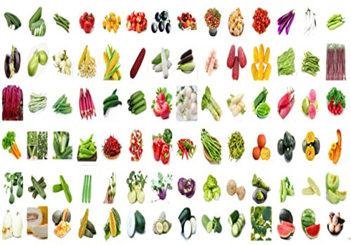 S-2.100 Salad Leaves Seeds Vegetable Chinese Thai Chive Herb Pakchoi (H04 Agastache Herb藿香 200)