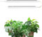 Barrina T5 1FT Grow Light Strip, 5000K White Plant Growing Lamp, 10W(2 x 5W) Linkable Full Spectrum Grow Lights for Indoor Plants, Plug and Play, Greenhouse, 2 Packs