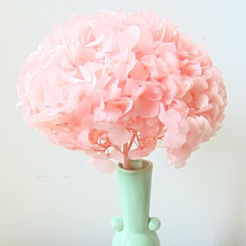 Vrai Hortensia Stabilisé Rose Vintage, Décoration Florale sans Entretien, Grande Taille XXL Souvenir de Mariage Éternel, Centre de Table Mariage, (Rose)