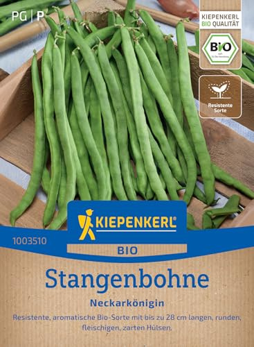 Kiepenkerl Stangenbohnensamen Neckarkönigin 1003510, Gemüsesaat | Bio Gemüsesamen für Bohnen mit bis zu 28 cm langen Hülsen, Inhalt für 15-20 Stangen, Wuchshöhe 200-300 cm