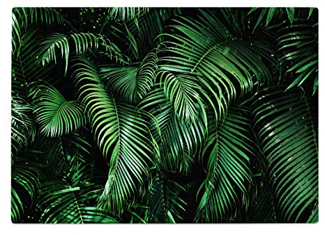 Leaves Black Green Nature Kitchen Worktop Protector Saver Glass Chopping Board