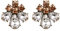 EVER FAITH Blumen Ohrstecker für Damen Mädchen Strass Kristall Hochzeits Braut Tropfen Ohrringe Champagne Color