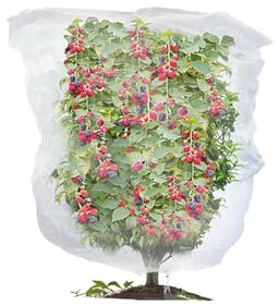 Gartennetz – Vogelnetz, Insektennetz für Gemüse, Obst, Bäume, Netz, feines Netz mit Kordelzug, Pflanzenabdeckung, Schutz für Blumensträucher und Gartenprodukte (80 x 100 cm)