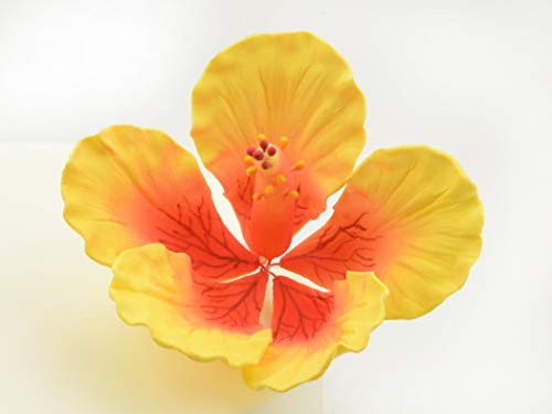 Feinzucker Blüte Hibiscus Giant