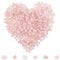 SUNNYCLUE 400 Stück Rosenquarz Perlen Chips 5-8 mm Lange Unregelmäßige Rosenquarz Perlen Kristallstein Perlen Halbedelstein Für DIY Baum des Lebens Charms Schmuckherstellung Armband Halskette
