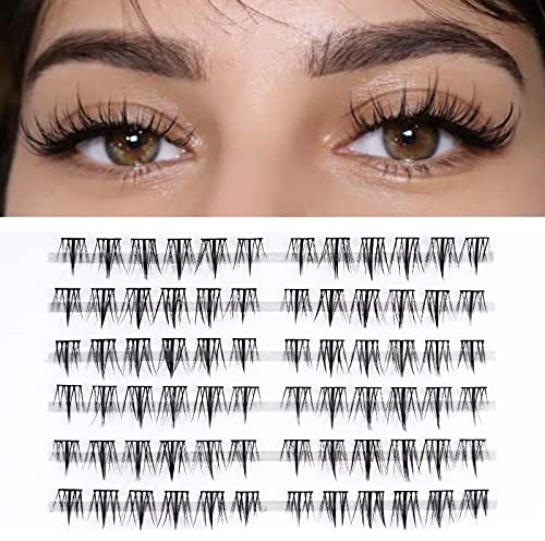 LANKIZ Einzelne Wimpern 0.07 D Curl 72 Pcs Falsche Wimpern Extensions für Wimpernverlängerung Cluster Lashes DIY Künstliche Wimpern Einzeln Fake Lashes zu Hause, Babysbreath