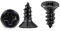 TPOHH Edelstahl V2A Holzschrauben Vollgewinde Senkkopf Universalschraube Ø 4 x 8 mm PH-Antrieb Schwarz Beschichtet Kreuzschlitzschrauben Blechschrauben Spanplattenschrauben 100 Stück