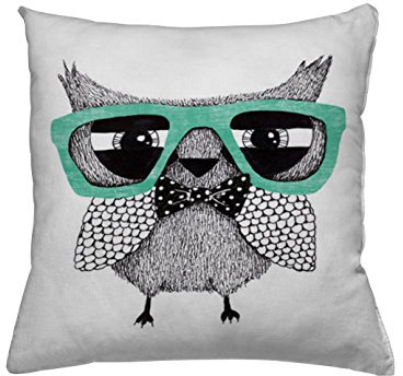 jilda-tex Zierkissen Deko-Kissen mit Füllung 45x45 cm doppelseitiger Druck Motiv lustig Verschiedene Designs (Hipster OWL) Eule grau Brille Tier Tiere türkis