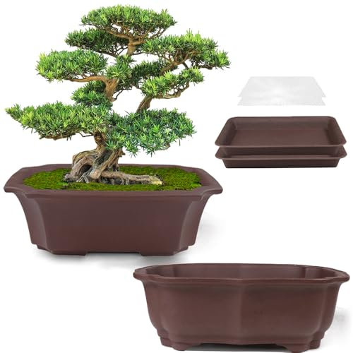 MUZHI Zisha Bonsai-Übertopf, handgefertigt, 20,3 cm, mit Abtropfschale, atmungsaktiv, unglasiert, rechteckig, Yixing Keramiktopf für Bäume, Sukkulenten, Kakteen, Braun, 2 Stück