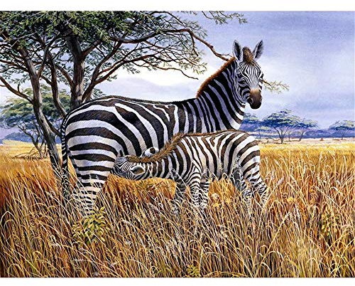 Yingxin34 Puzzle 5000 Teile,Impossible Puzzle,Geschicklichkeitsspiel für die Ganze Familie Zebra auf der afrikanischen Savanne Farbenfrohes Legespiel,Puzzle anspruchsvoll