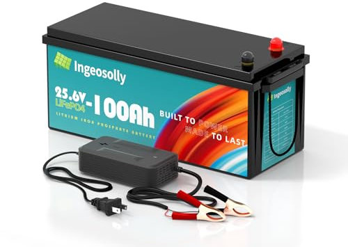 24V 100Ah LiFePO4 Batteria 4000+ Batteria al litio a ciclo profondo incorporata 100A BMS batterie ricaricabili 24 Volt per RV/Camper, Sistema di energia solare, Marine, Off-Grid Applicazioni