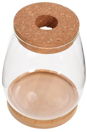 TOYANDONA Terrariumbehälter aus Glas mit Bambus Halter Hydroponische Pflanzen im Container für Innenräume und Büro Multifunktionale Wasserpflanzen Öko Flasche