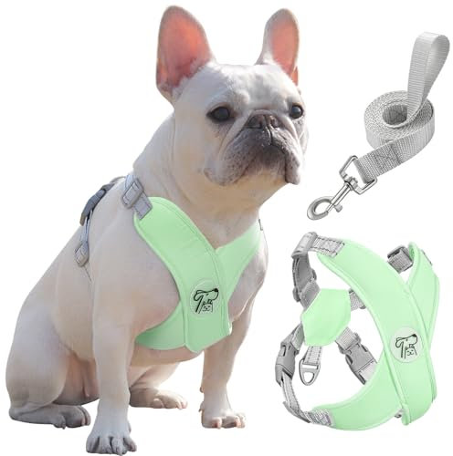 Pawaboo Hundegeschirr mit Hundeleine Set, X-Rahmen Verstellbares Anti Zug Anti-Erstickung Hund Brustgeschirr für Kleine, Mittelgroße Hunde & Welpen, Atmungsaktive Hundeweste mit Leine, L, Minzgrün
