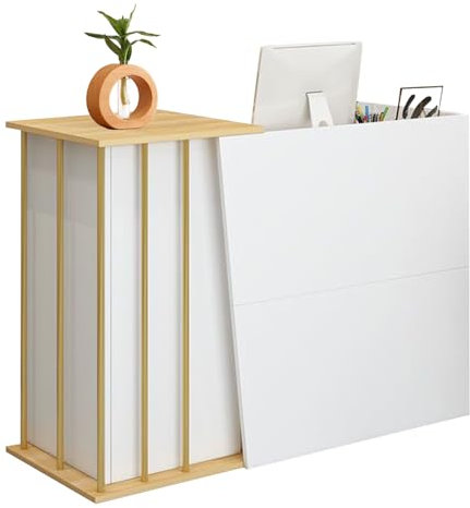 GAOXIAO Empfangstheke mit Schreibtisch, Rezeption Schreibtisch mit 2 Schubladen und Ablageflächen Empfangstresen, Laden-Theke Bürotheke Rezeption Tisch für Salon Empfangsraum Kasse C 120 cm