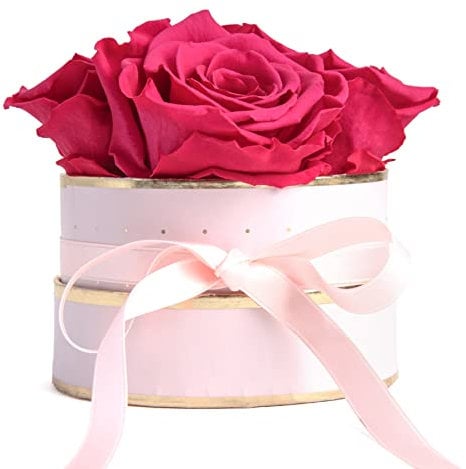 ROSEMARIE SCHULZ Heidelberg Rosenbox rund Infinity Rosen Pink - Blumenbox in Rosa mit 4 mal ewige Rose haltbar 3 Jahre - Freundinnen Geschenkideen und Geschenke für Freundinnen (Rosa-Pink)