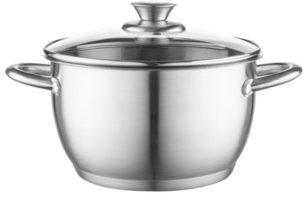Florina Henry 20 cm 3,1 L Edelstahltopf mit Glasdeckel | Für Induktion, Gas, Elektro, Ceran | Messskala innen | Spülmaschinengeeignet | Hitzebeständiger Deckel | Langlebig & robust