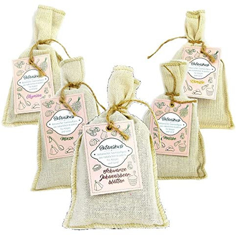 Well Solutions Botanikuss Set 5-teilig | 100% Natürlicher Aufguss | Botanischer Saunaaufguss aus natürlichen Kräutern | Kamille, Melisse, Minze, Thymian, Johannisbeere