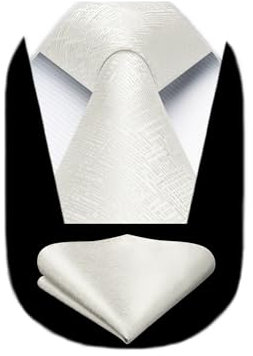 HISDERN Krawatten für Herren Beige Klassisch Business Krawatte mit Einstecktuch Set Elegant Formelle Schlips Hochzeit Party
