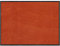 Salonloewe Fußmatte waschbar Cayenne 60x85 cm Sauberlaufmatte, Fußabtreter außen, Motiv-Fußmatte, Wohnmatte