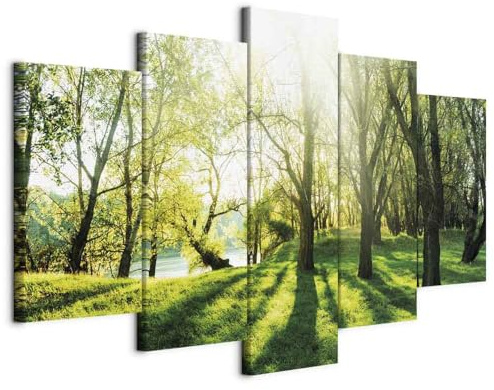 B&D XXL - Akustikbild Akustikschaumstoff, 225x112 cm, 5-teilig, Wohnzimmer | Verbessert Raumakustik, reduziert Hall, ideal fürs Büro oder Wohnzimmer, hochwertige Verarbeitung, schnelle Montage, stilvoll