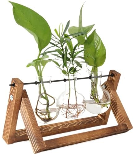 PUWOWYE Propagation Station Vintage, Ableger Pflanzen Glas mit Holzständer, 3 Zwiebel Vase, Glas Reagenzgläser für Blumen, Hydroponik Blumenvase, Geschenke für Frauen Männer Geburtstagsgeschenk