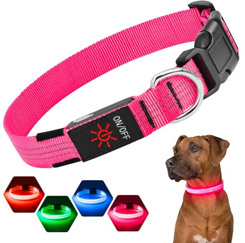 Suggifamy Leuchthalsband Hund - 3 Lichtmodi Hunde Leuchthalsband, Verstellbares Hundehalsband Leuchtend mit USB & Reflektierendem Gurt für Nachtsicherheit bei Hunden aller Größen (Rosa M)
