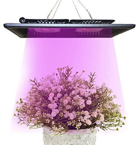 PINUMI Led Grow Light Full Spectrum 100W IP67 Waterproof COB Grow LED Flood Light for Plant Indoor Outdoor Hydroponic Greenhouse