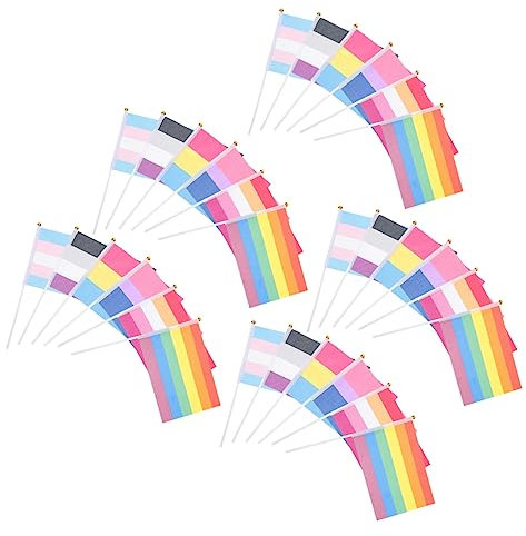 LIOOBO Lot de 30 Mini Drapeaux à Main Lgbtq Décoration de Fête Drapeaux Colorés en Polyester Célébrations Parades et Réutilisable