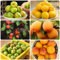 50 Pcs Aprikosen Baum Samen - Bonsaibaum Hochbeet Samen, Hydrokultur Pflanzen Aprikosenbaum Samen, Prunus Armeniaca, Bonsai Baum, Balkonpflanzen Winterhart Seltene Pflanzen