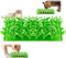 Yanneli Silicone Slow Eating Feeder,Green Grass Foraging Mat,Green Grass Silicone Slow Food Mat, Cat Grass Mat Food Toy,Cat Grass Mat for Indoor Cats Silicone (1PCS)