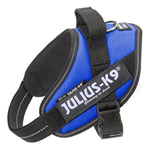 Julius-K9 - IDC Powergeschirr für Hunde mit zwei kostenlosen personalisierbaren Namensschildern, Blau, S/Mini (Brustumfang: 50,8–67,3 cm)
