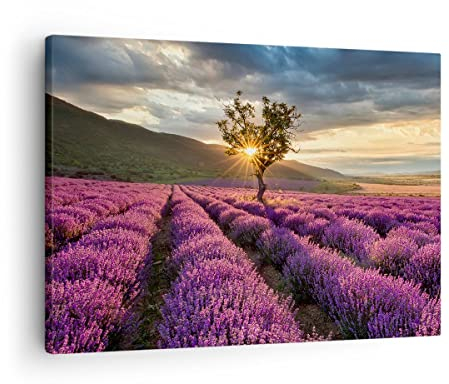 Bilder auf Leinwand Lavendel Berge Feld Leinwandbild mit Rahmen 70x50cm Wandbilder Dekoration Wohnzimmer Schlafzimmer Küche Deko Klein Wanddeko Bild Wand Kunstdruck Art Wall Decor Canvas AA70x50-3645