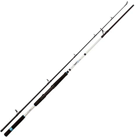 Zebco 2,40m White GWC Pilk 40g-200g, 2lbs-7lbs, x, 40-200 g