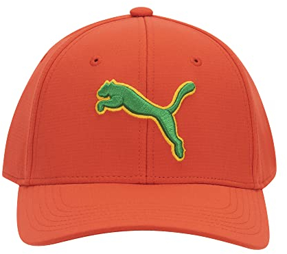 PUMA Unisex-Erwachsene Evercat Dillon Stretch Fit Cap Baseballkappe, Rot/Grün, S/M