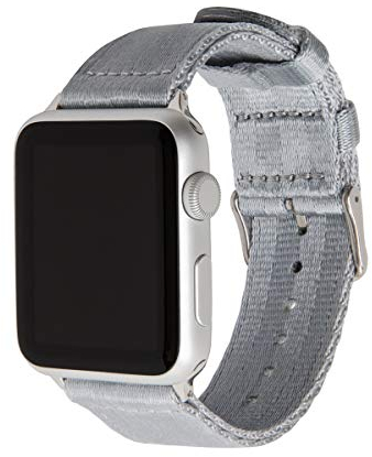 Archer Watch Straps - Uhrenarmbänder aus Nylon-Sitzgurtmaterial für Apple Watch (Grau/Edelstahl, 40/41/42mm)
