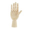 Modellhand aus Holz Hölzerne Menschliche Flexible Holzhand Modell Zeichnungsmodell für Anfänger, Profis und Künstler(7 rechte Hand)