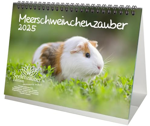 Meerschweinchenzauber DIN A5 Tischkalender für 2025 Meerschweinchen - Inhalt: 1x Kalender 1x Weihnachtsanhänger 1x Grußanhänger (gesamt 3 Teile)