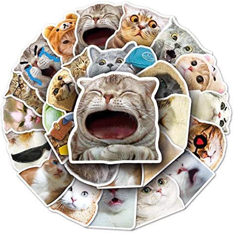 Meme sticker katzen stickers aesthetic katzen sachen cute autoaufkleber katze sticker set erwachsene aesthetic stickers coole sticker funny for adults katzenaufkleber katzensticker
