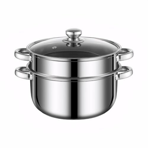 24cm 2 Tier Essentials Steamer Cooking,Stainless Steel Food Steamer for Vegetable,Dumpling & Induction Hob,Oven-Safe Induction Pans with Vented Glass Lid,Cookware Pot & Cool Twin Handles