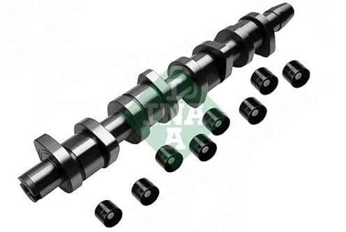INA 428 0039 30 Nockenwellensatz hydraulisch Kompatibel mit VW Golf 5 Schrägheck 1K1 038109101AH 038109309A 038109309B