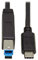 Tripp Lite Câble USB C vers USB de type B USB de type C 3.1 Gen 2, 10 Gbit/s M/20 po (U422-20N-G2)