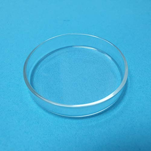 Schmitt Aquaristik Futterschale aus Glas/für Garnelen-Sticks