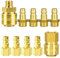 10 Stück Druckluftkupplung 1/4 Zoll, Druckluft Kupplungen, Schnellkupplung, Luftkompressor-Fittings Schnellanschluss, Innengewinde und Außengewinde Schnellanschluss