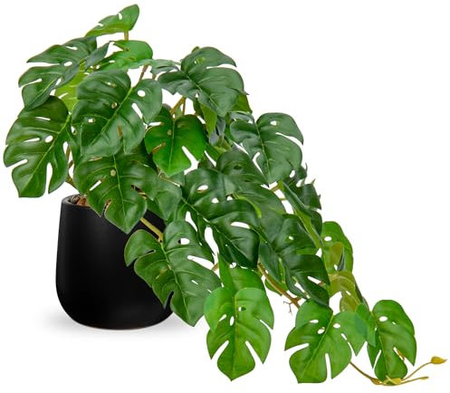 Hollyone Artificial Plants in Black Ceramic Pots, Fake Monstera Plant Decorative Faux Potted Plants, Realistic House Plant Indoor for Home Décor, Bathroom, Living Room, Kitchen, Shelf Decorations