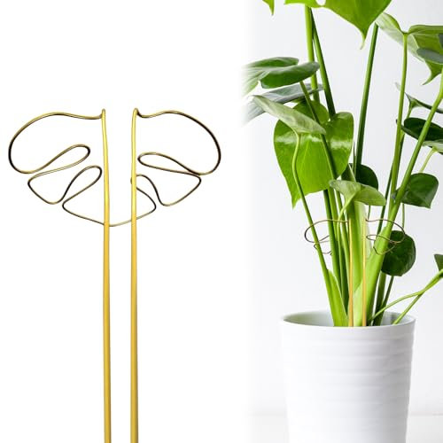 Pflanzenstützen Ringkäfige,Staudenhalter Garten Pflanzenhalter Blumenstütze Pflanzenstütze Topfpflanzen,Stammstützen für Kletternde Zimmerpflanzen Pflanzenstütze für Zimmer und Außenpflanzen (Gold)