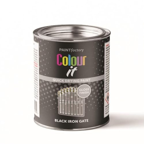 PF Paint Factory Colour It Tin Paint Iron Gate Gloss Black 300ML | Durable – Quick-Drying Brush-On Paint | Multi-Purpose Paint for Interior & Exterior Gates, Railings & More