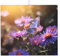 WHJWZY Lila Chrysanthemen Schmetterling bedruckte Küchenarbeitsplatte saugfähige Pads Abtropfmatte für Küche aus Schwamm wasserabsorbierend 45,7 x 40,6 cm