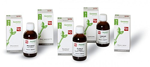 Fitomedical Nahrungsergänzungsmittel für Jugendliche, 100 ml