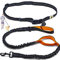 HUNDEFREUND Laisse Chien pour Courir - Laisse Main Libre avec Amortisseur - Extensible de 120 à 170 cm pour Jogging, Canicross, Course à Pied